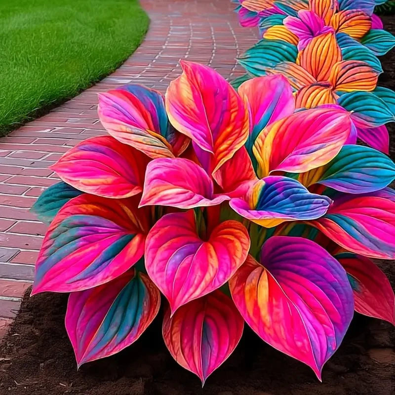 /69c3846c2959ca00093fcc73/2026/04/14/product-img-69ddedf7f707c0639afa4838.png