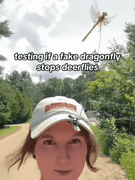 2026 Summer Hot Sale 49% OFF🔥Dragonfly Clip Bug Repe Llent